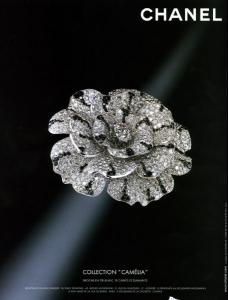 pict0013.jpg