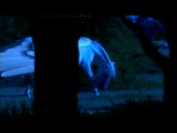 post-16808-1248037253_thumb.gif