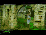 post-16808-1248038888_thumb.gif