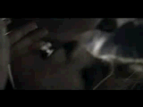 post-16808-1278020703_thumb.gif