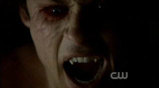 post-35528-1278041841_thumb.gif