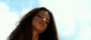 post-35528-1279505846_thumb.gif
