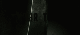 post-35528-1280342621_thumb.gif