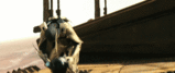 post-35528-1280342798_thumb.gif