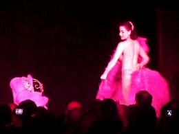 post-35528-1280617277_thumb.gif