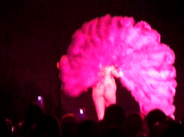 post-35528-1280617486_thumb.gif