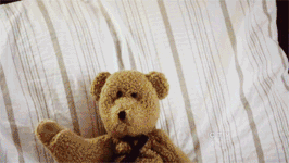 Damon-teddy-damon-salvatore-11583615-266-150.gif