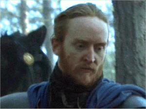 post-37737-1279299609_thumb.gif