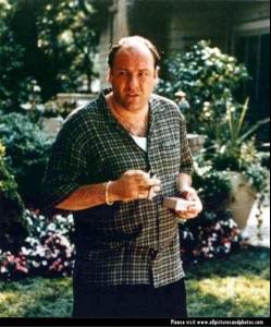 post-37737-1280092380_thumb.jpg