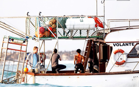 HalleBerryfilmingscenesforDarkTideSealIslandSouthAfrica30.7.2010_03.jpg