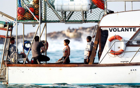 HalleBerryfilmingscenesforDarkTideSealIslandSouthAfrica30.7.2010_05.jpg