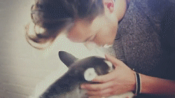 post-35528-1309576052_thumb.gif