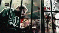 post-35528-1309663220_thumb.gif