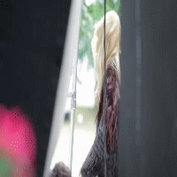 post-35528-1310350373_thumb.gif
