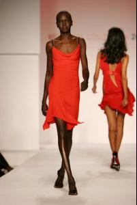 Alek-Wek (10).jpg