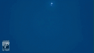 post-1004-0-1446081029-96269_thumb.gif