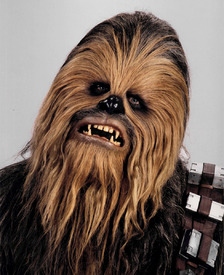 Chewbaccaheadshot.jpg