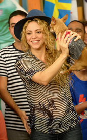 shakira0914BZNImage023.jpg