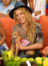 shakira0914BZNImage047.jpg