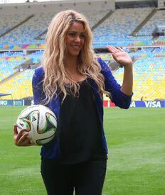 shakira120714BZNImage001.jpg