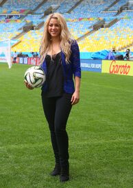 shakira120714BZNImage002.jpg