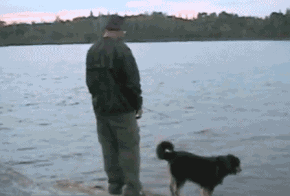 post-72476-0-1446156087-66346_thumb.gif