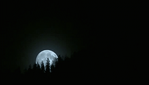 post-86593-0-1446156084-32615_thumb.gif