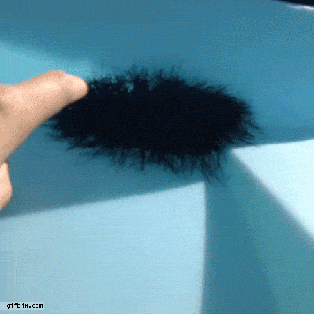 http___o.aolcdn.com_hss_storage_midas_adf0f5e9afb2965a61a0025087d4fc4c_202190774_8.gif