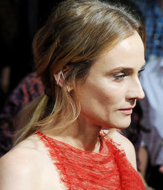 dianek120716BZNimage2.jpg