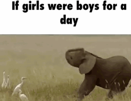 yn8fcGz.gif