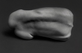 SIXTEEN_JOURNAL_VOLUME_ONE_CHADWICK__TYLER_8.jpg