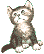 chat5.gif