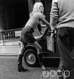 vintagebbbardot.jpg