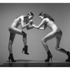 th_a22e5e46255573.gif