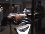 post-35528-1281916044_thumb.gif
