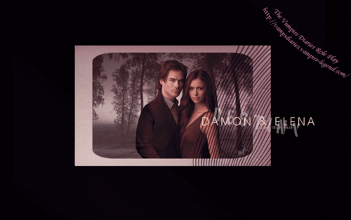 TVD-RPG-the-vampire-diaries-tv-show-10806359-500-313.gif