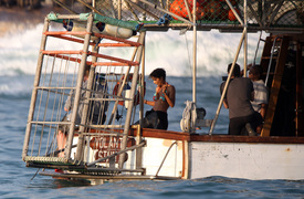 HalleBerryfilmingscenesforDarkTideSealIslandSouthAfrica30.7.2010_28.jpg