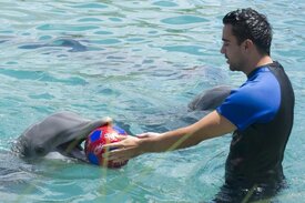 Xavi-en-el-Seaquarium-de-Miami_54195589899_54115221152_960_640.jpg