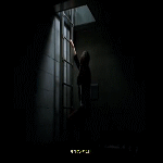 post-35528-0-1446437997-96613_thumb.gif