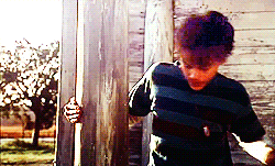 post-36249-1313171805_thumb.gif