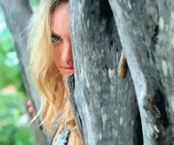post-36249-1313343372_thumb.gif