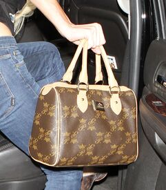 CU-Paris_Hilton_arriving_at_LAX-19.JPG.jpg