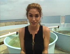 HOS-09-003-cindy-crawford.jpg