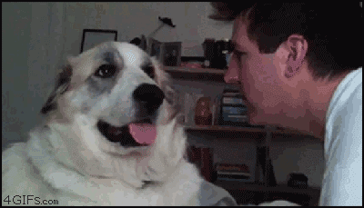 gifs_diversos_1-12.gif