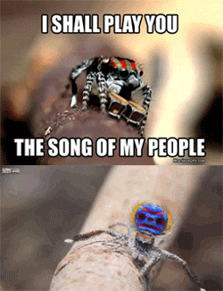 post-1004-0-1446079952-09824_thumb.gif