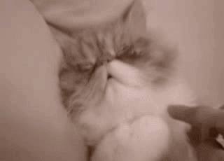 post-20251-0-1446155971-71112_thumb.gif