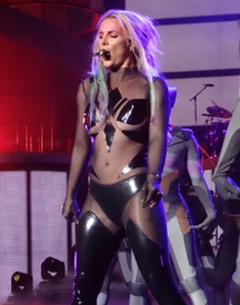 bspears210815BZNimage1.jpg