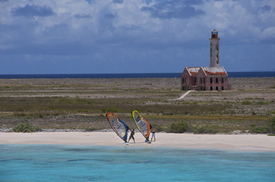 DSC_0102.jpg
