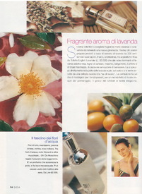 Scan40026.jpg