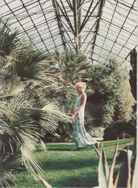 Scan40008.jpg